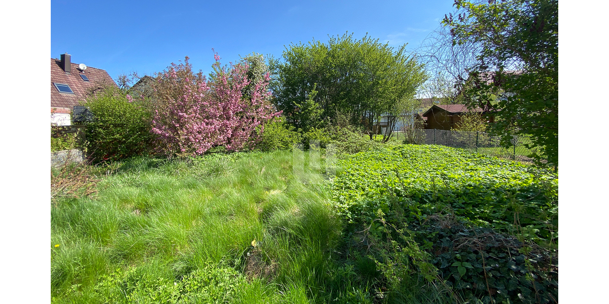 Teilansicht Garten