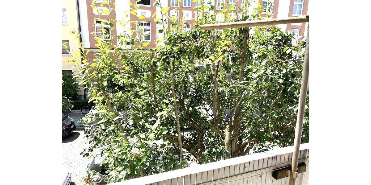 Blick von der Loggia 