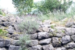 Freistehendes Ein- Zweifamilienhaus auf sonnigem Gartengrundstück mit viel Potenzial in Ottobrunn - Zweifamilienhaus Ottobrunn | Angebot:27071123
